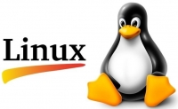 Как установить программы (пакеты) в Linux